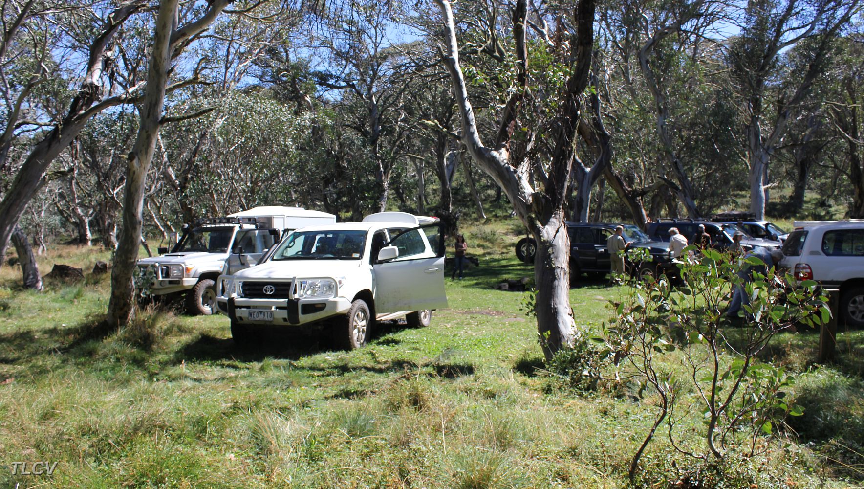 King Billy Saddle-2.jpg